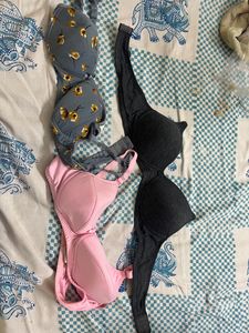 Ladies Padded Bra