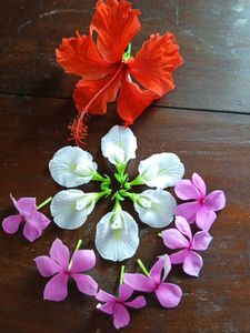Combo Three Flowers Saplings