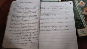 Class 10th Notes