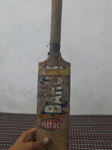 Barun Kashmiri Willow Bat