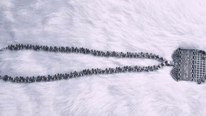Silver Jewellery Set