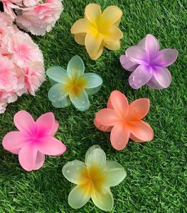 HAIR CLIPS (SET OF 6)