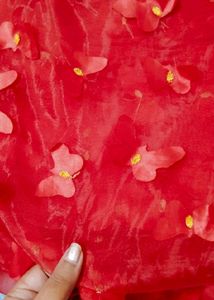 Unused Butterfly Saree