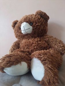 Teddy &amp; Doremon