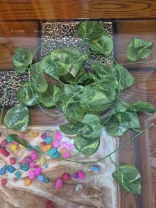 Decorative Leaf Hanging