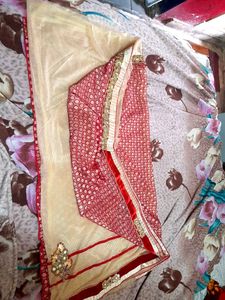Designer Net Saree