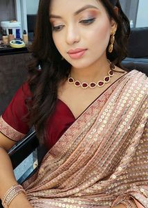 Beautiful Pure Sequence Saree