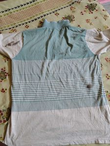 Striped Polo T-shirt