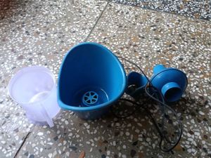 face steamer