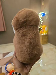 Adorable Kapibara Plushie with Fish