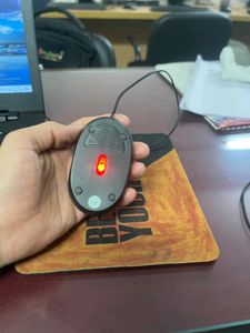 Mouse