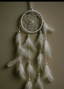 Dreamcatcher Wall Decor
