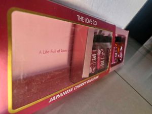 Japanese Cherry Blossom Discovery Kit (Pack of 5)