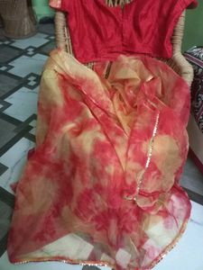 Red & Yellow Saree