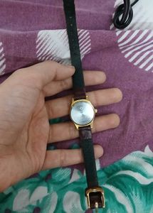 Watch Ladies Maxima Brand