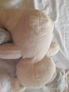 Cute Stuffed Bear