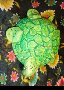 Clay Turtle