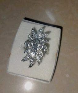 Sparkling Silver Ring Free Orangering