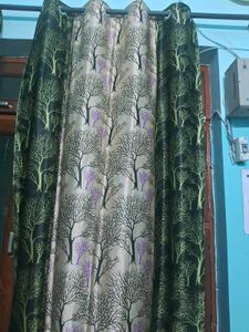 Curtain