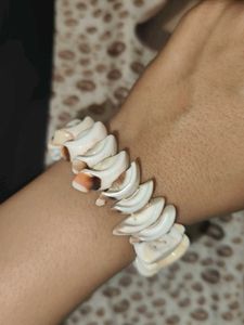 White Beauty Seashell Bracelet