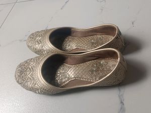 Embroidered Punjabi Jutti