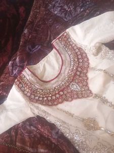 Elegant Pakistani/Indian Dress
