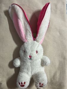 Rabbit Plushies 🎀
