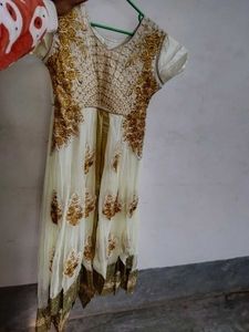 Elegant Ethnic Dress