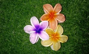 Flower Petals Floral Design Hair Claws (Pack Of 3)