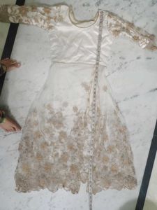 Elegant Ethnic Gown
