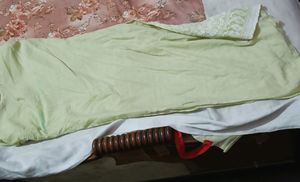 Light Green Chikankari Kurti