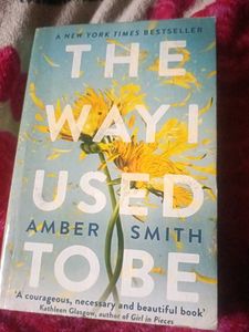 The Way I Used to Be by Amber Smith