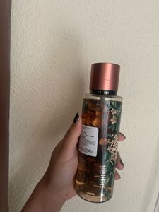 VS Bare Vanilla Untamed