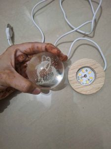 Dolphin Crystal Ball Night Light