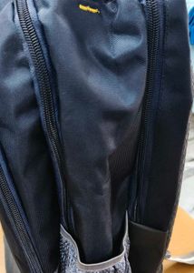 Skybags Backpack