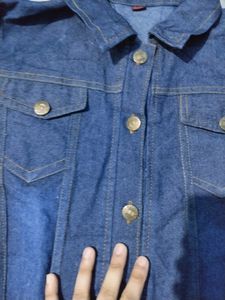 New stylish shorts Denim