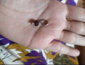 pur silver Rudraksha