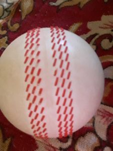 Cricket Ball