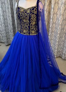 Blue Embellished Lehenga Choli
