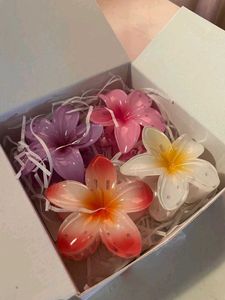Plumeria Flower Hair Claw Clips