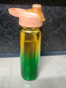 Gradient Water Bottle