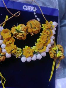 Haldi Srt For Bridle