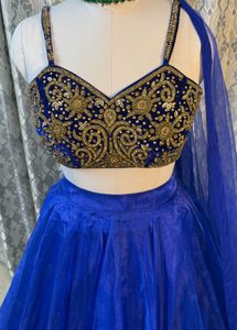 Blue Embellished Lehenga Choli