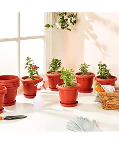 1 Pc. Brown Plastic Pot (21inch = 16.1cm)