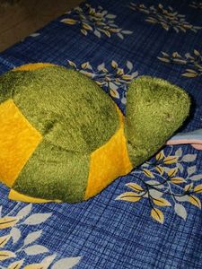 🐢 Toy And Elephant Cap Combo