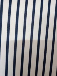 White With Blue Stripeed Palazzo Pant For Women