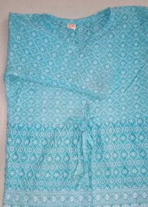 Chikankari Blue Embroidered