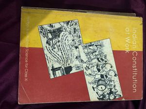 Indian Constitution at Work