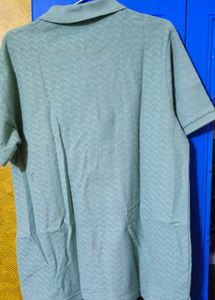 Mint Colour Men T-shirt