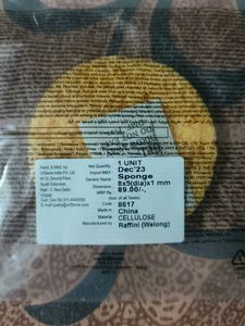Cleansing Sponge